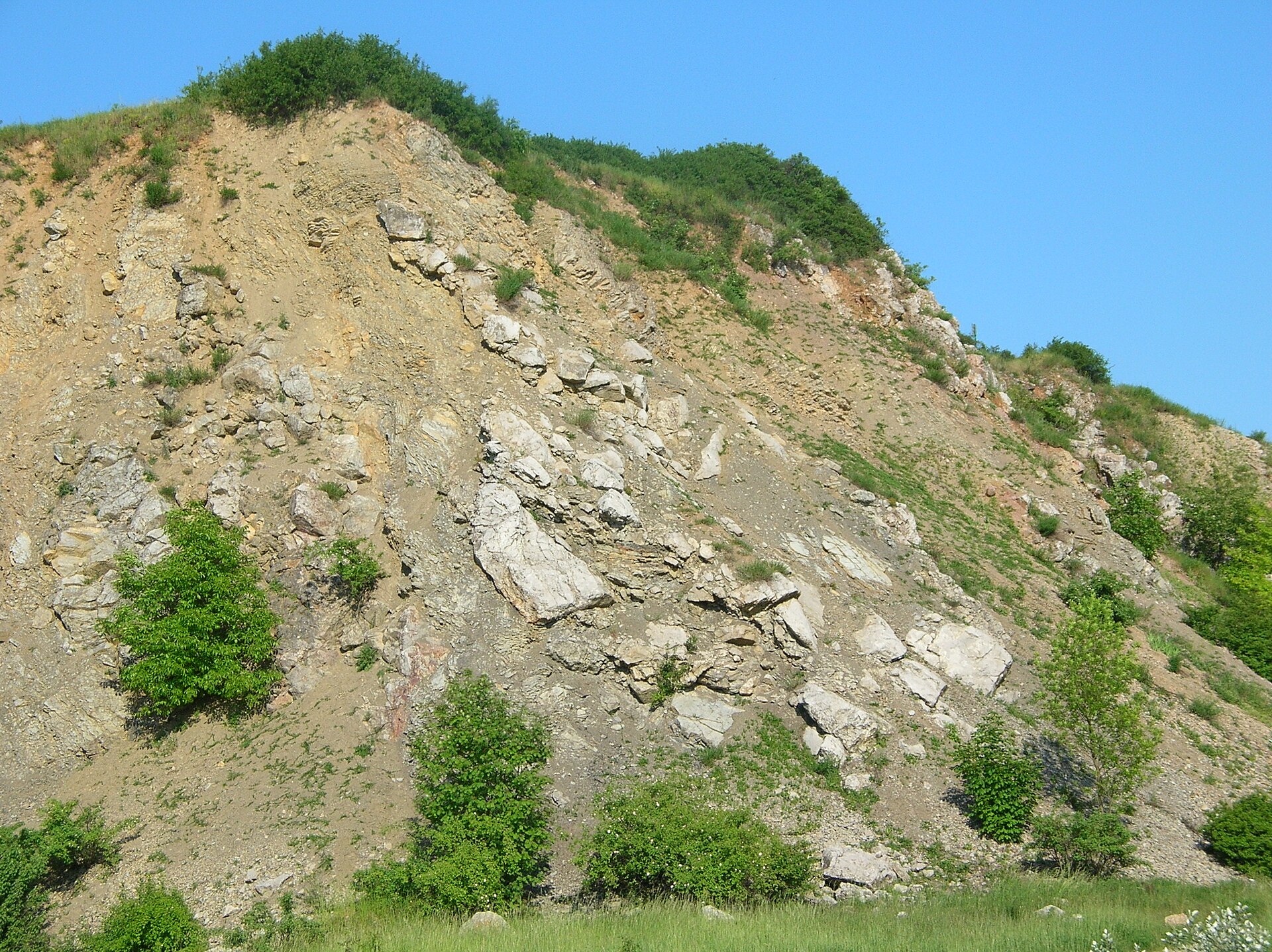 Rezerwat Wietrznia w Kielcach