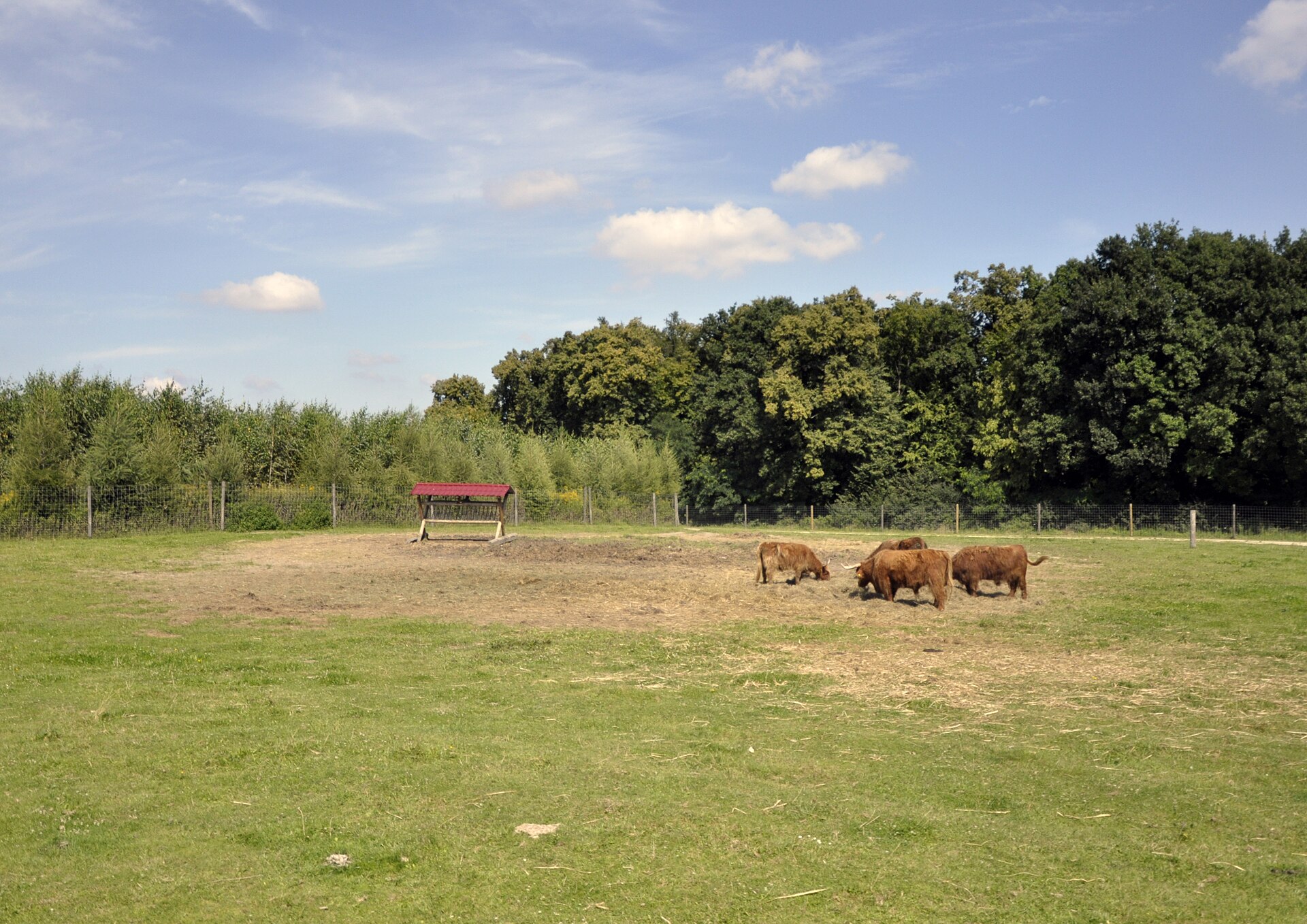 Zwierzyniec Bałtowski – Park Safari